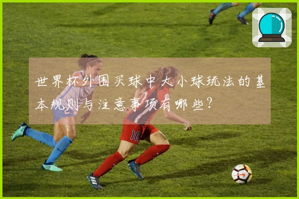 世界杯外围买球中大小球玩法的基本规则与注意事项有哪些？