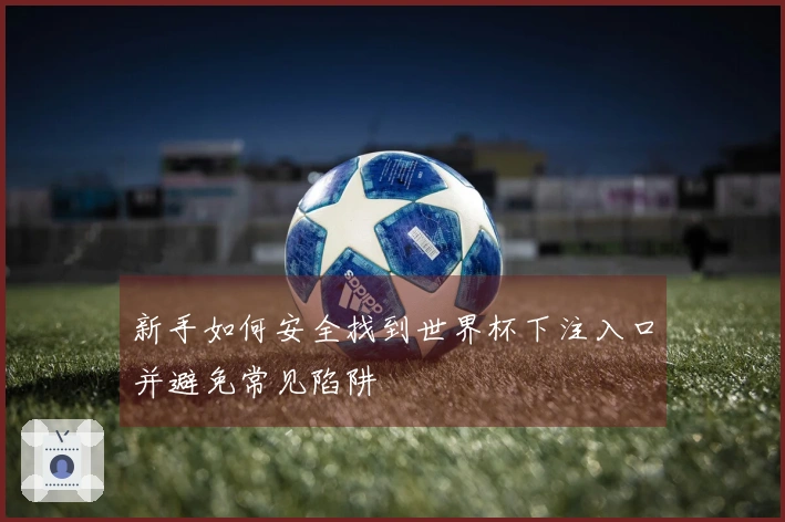 新手如何安全找到世界杯下注入口并避免常见陷阱